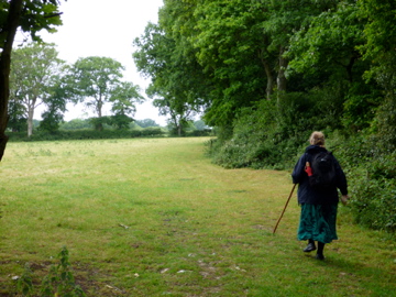 walking past Camberlot Wood, near Upper Dicker