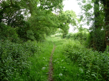Green Lane, near Upper Dicker